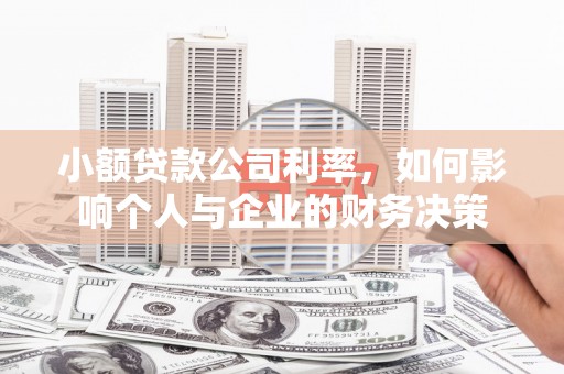 沙依巴克小额贷款公司利率，如何影响个人与企业的财务决策
