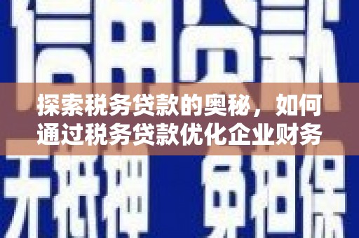沙依巴克探索税务贷款的奥秘，如何通过税务贷款优化企业财务
