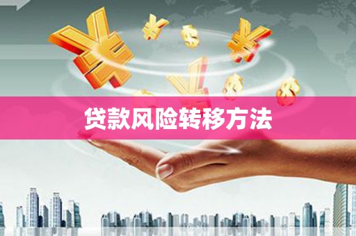 沙依巴克贷款风险转移方法