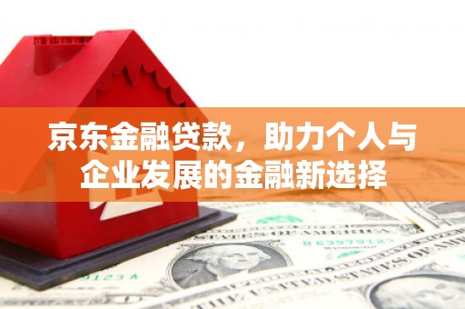 沙依巴克京东金融贷款，助力个人与企业发展的金融新选择