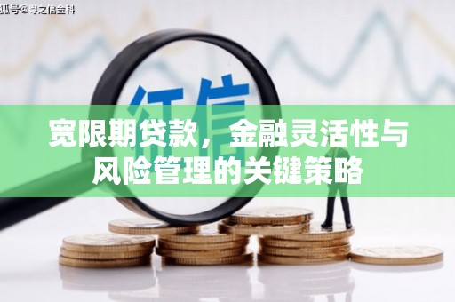 沙依巴克宽限期贷款，金融灵活性与风险管理的关键策略