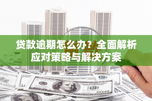 沙依巴克贷款逾期怎么办？全面解析应对策略与解决方案