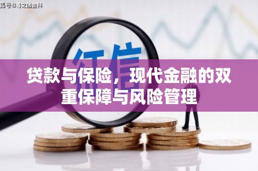 沙依巴克贷款与保险，现代金融的双重保障与风险管理