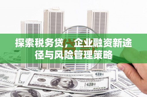 沙依巴克探索税务贷，企业融资新途径与风险管理策略