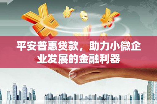 沙依巴克平安普惠贷款，助力小微企业发展的金融利器