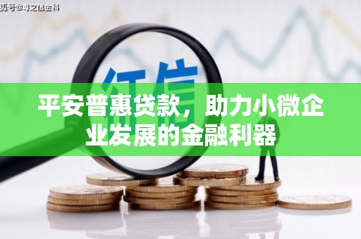 沙依巴克平安普惠贷款，助力小微企业发展的金融利器