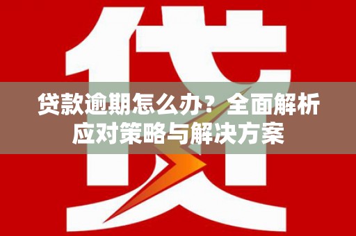 沙依巴克贷款逾期怎么办？全面解析应对策略与解决方案