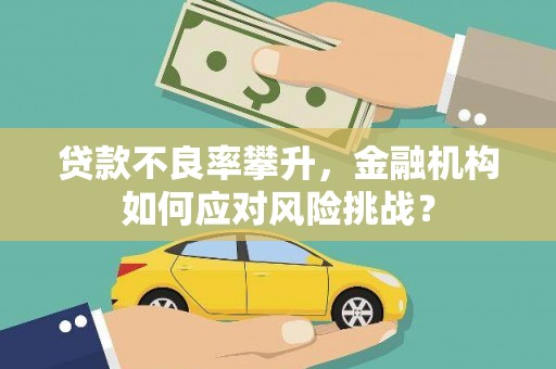 沙依巴克贷款不良率攀升，金融机构如何应对风险挑战？