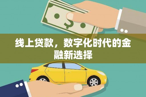 沙依巴克线上贷款，数字化时代的金融新选择