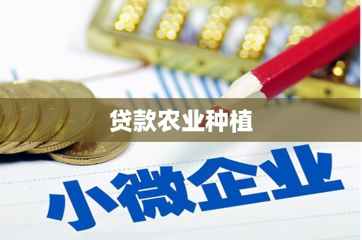 沙依巴克贷款农业种植