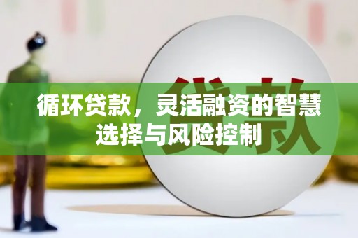 沙依巴克循环贷款，灵活融资的智慧选择与风险控制
