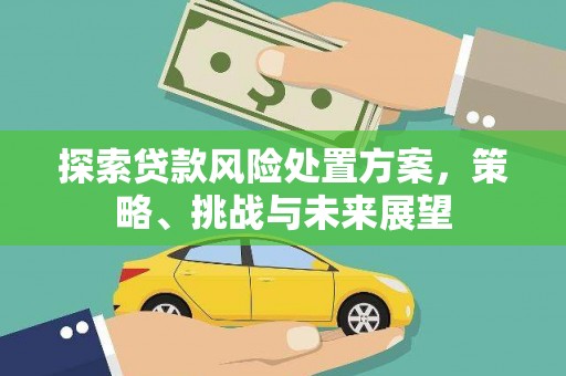 沙依巴克探索贷款风险处置方案，策略、挑战与未来展望