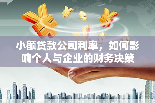 沙依巴克小额贷款公司利率，如何影响个人与企业的财务决策