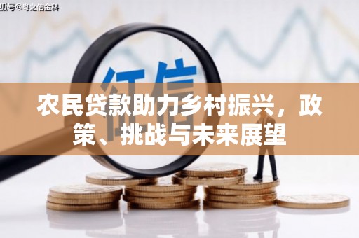 沙依巴克农民贷款助力乡村振兴，政策、挑战与未来展望