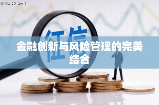 沙依巴克金融创新与风险管理的完美结合