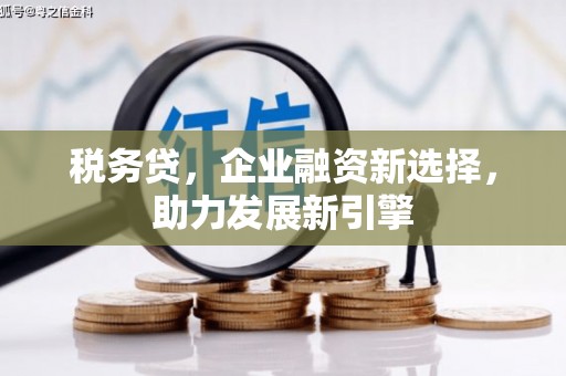 沙依巴克税务贷，企业融资新选择，助力发展新引擎