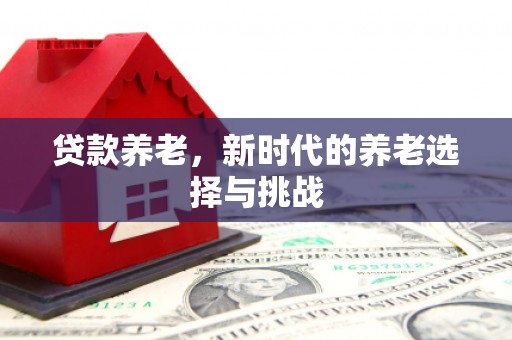 沙依巴克贷款养老，新时代的养老选择与挑战