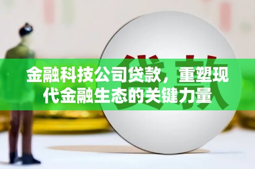沙依巴克金融科技公司贷款，重塑现代金融生态的关键力量