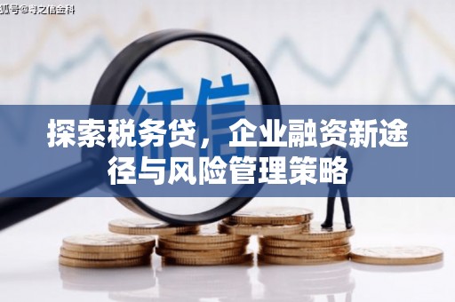 沙依巴克探索税务贷，企业融资新途径与风险管理策略