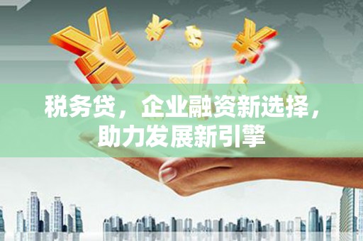 沙依巴克税务贷，企业融资新选择，助力发展新引擎