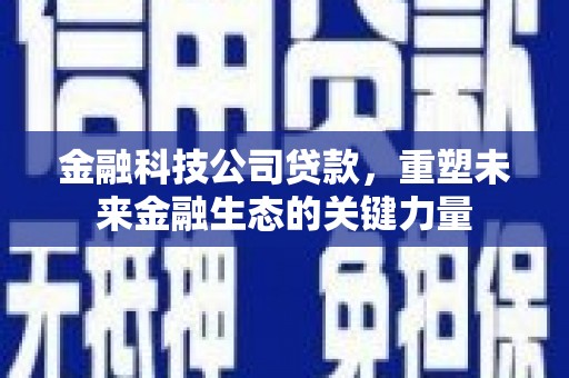 沙依巴克金融科技公司贷款，重塑未来金融生态的关键力量