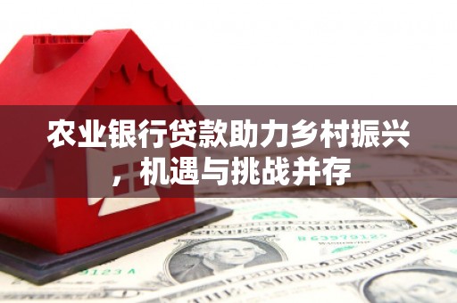 沙依巴克农业银行贷款助力乡村振兴，机遇与挑战并存