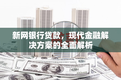 沙依巴克新网银行贷款，现代金融解决方案的全面解析