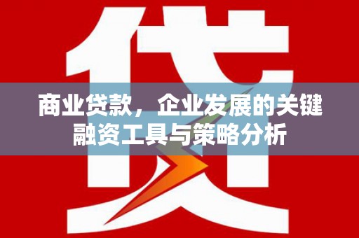 沙依巴克商业贷款，企业发展的关键融资工具与策略分析