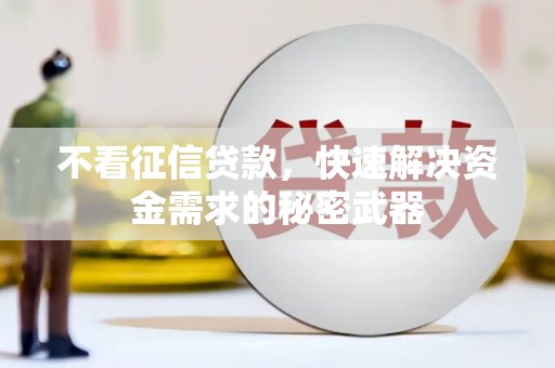 沙依巴克不看征信贷款，快速解决资金需求的秘密武器