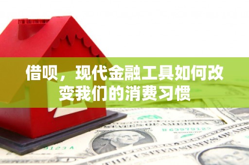 沙依巴克借呗，现代金融工具如何改变我们的消费习惯