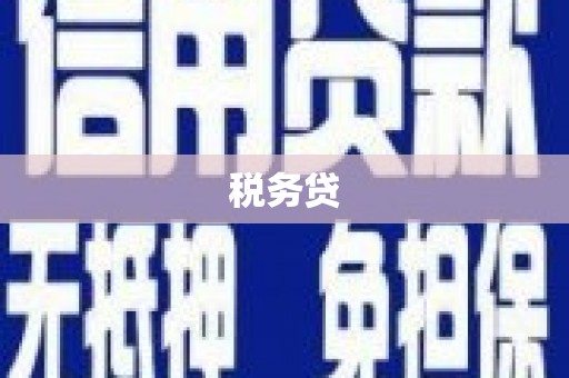 沙依巴克税务贷