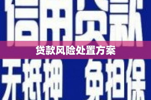 沙依巴克贷款风险处置方案