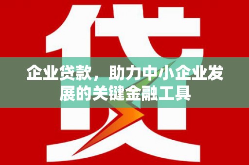 沙依巴克企业贷款，助力中小企业发展的关键金融工具