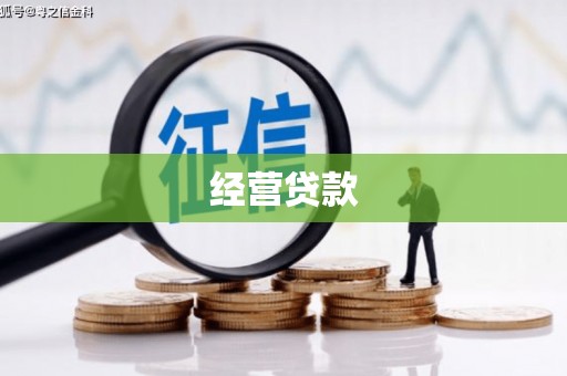 沙依巴克经营贷款