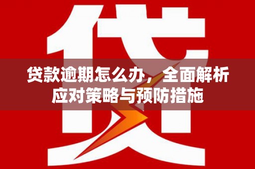 沙依巴克贷款逾期怎么办，全面解析应对策略与预防措施
