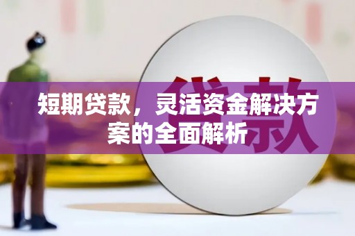 沙依巴克短期贷款，灵活资金解决方案的全面解析