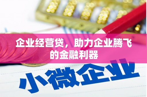 沙依巴克企业经营贷，助力企业腾飞的金融利器