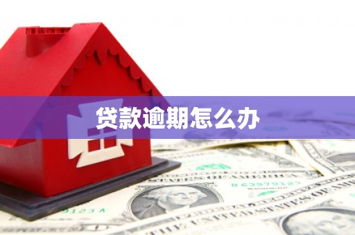 沙依巴克贷款逾期怎么办
