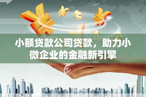 沙依巴克小额贷款公司贷款，助力小微企业的金融新引擎