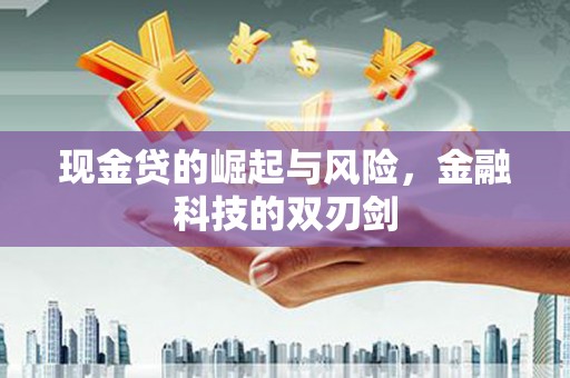 沙依巴克现金贷的崛起与风险，金融科技的双刃剑