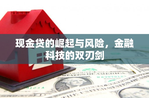 沙依巴克现金贷的崛起与风险，金融科技的双刃剑