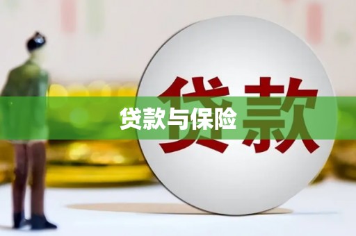 沙依巴克贷款与保险
