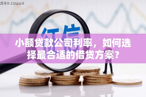 沙依巴克小额贷款公司利率，如何选择最合适的借贷方案？