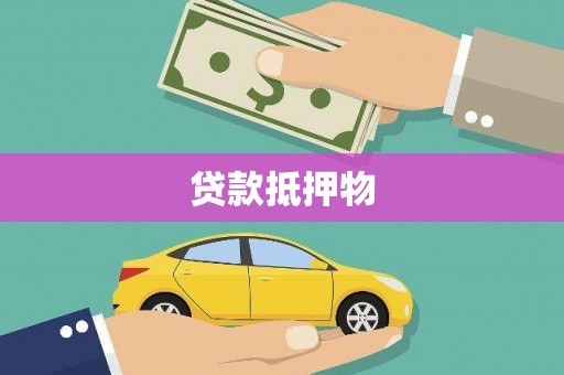 沙依巴克贷款抵押物