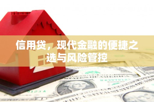 沙依巴克信用贷，现代金融的便捷之选与风险管控