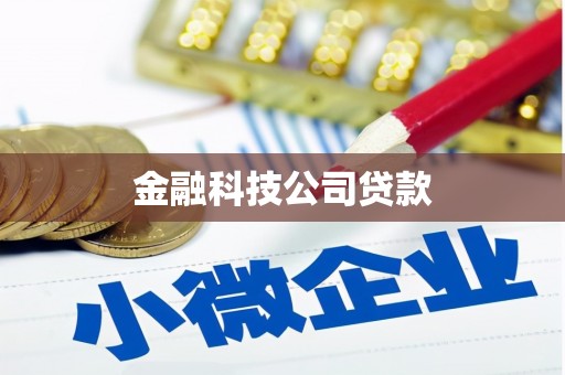 沙依巴克金融科技公司贷款