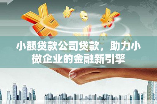 沙依巴克小额贷款公司贷款，助力小微企业的金融新引擎