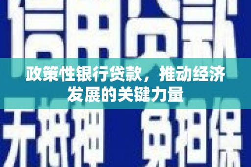 沙依巴克政策性银行贷款，推动经济发展的关键力量