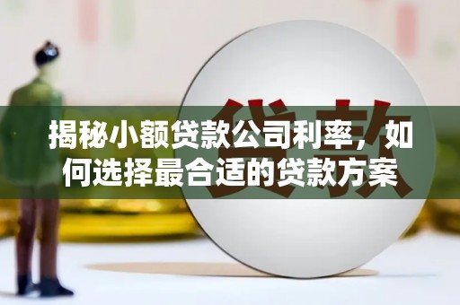 沙依巴克揭秘小额贷款公司利率，如何选择最合适的贷款方案