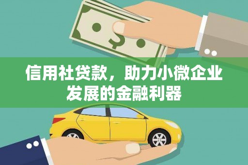 沙依巴克信用社贷款，助力小微企业发展的金融利器